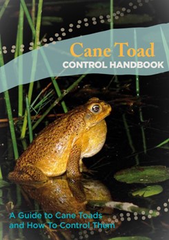 When it comes to Cane Toad Control, accuracy matters! 🔍 Before taking  action against Cane Toads, it's crucial to confirm their ident